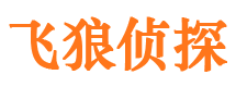 积石山外遇调查取证